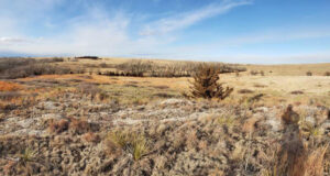 Sappa Creek Massacre Site in Rawlins County, Kansas.