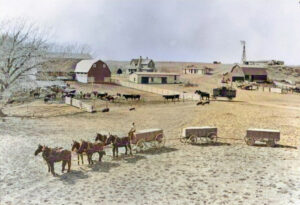 Cattle ranch in Sherman County, Kansas.