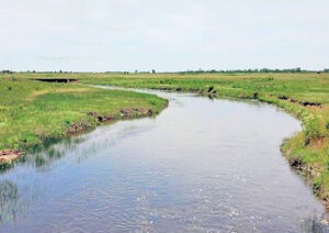 Rattlesnake Creek in Kansas, courtesy of Wikipedia.