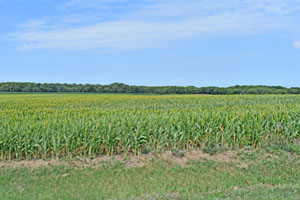 Cloud County, Kansas Agriculture by Kathy Alexander. Cloud County, Kansas Agriculture by Kathy Alexander.