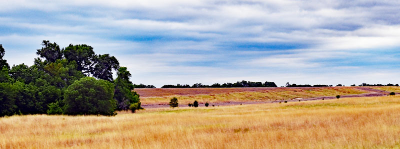 Rooks County Landscape near Stockton, Kansas. Photo by Kathy Alexander.