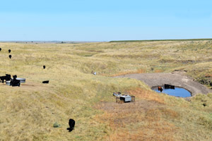Decatur County, Kansas landscape by Kathy Alexander.