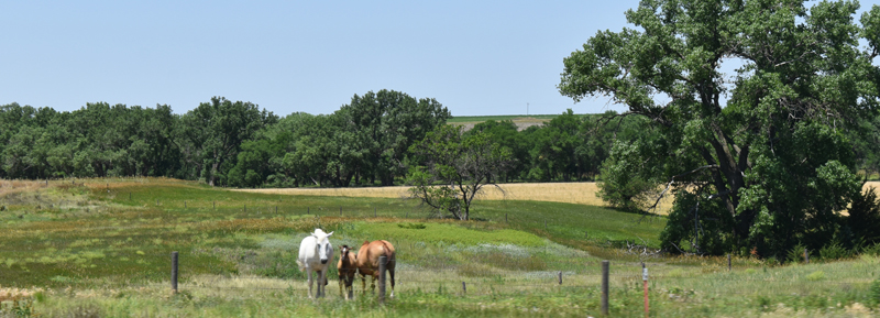 Decatur County, Kansas Landscape by Kathy Alexander.