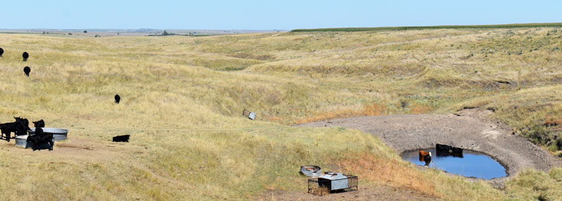 Rolling hills in Decatur County, Kansas by Kathy Alexander.