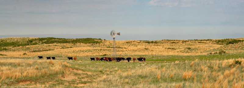 Sandhills Ranch in Kiowa County, Kansas.