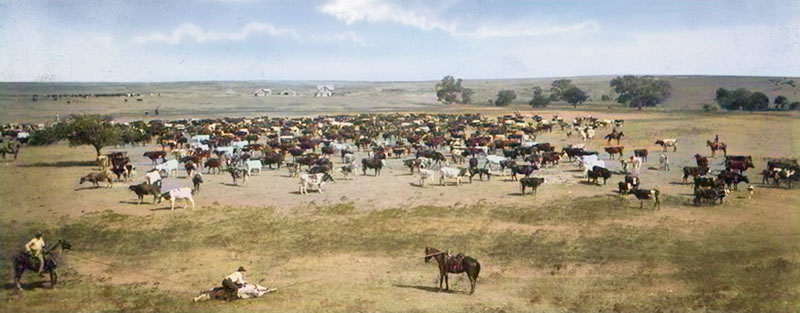 Kiowa County Ranch.