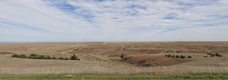 Lane County landscape, courtesy of Google Maps.