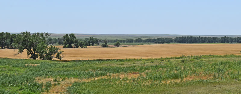 Wallace County Landscape.